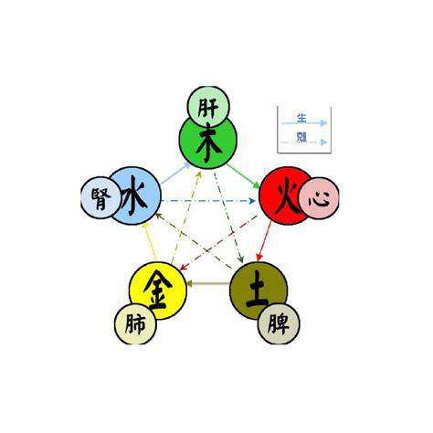 五行學|五行(對萬事萬物的取象比類):簡介介紹,涵義解析,初始。